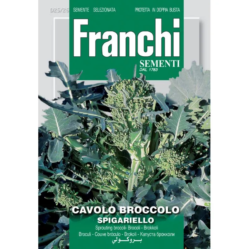 Fr Broccoli bloeiend, Cavolo Broccolo Spigariello 25/26