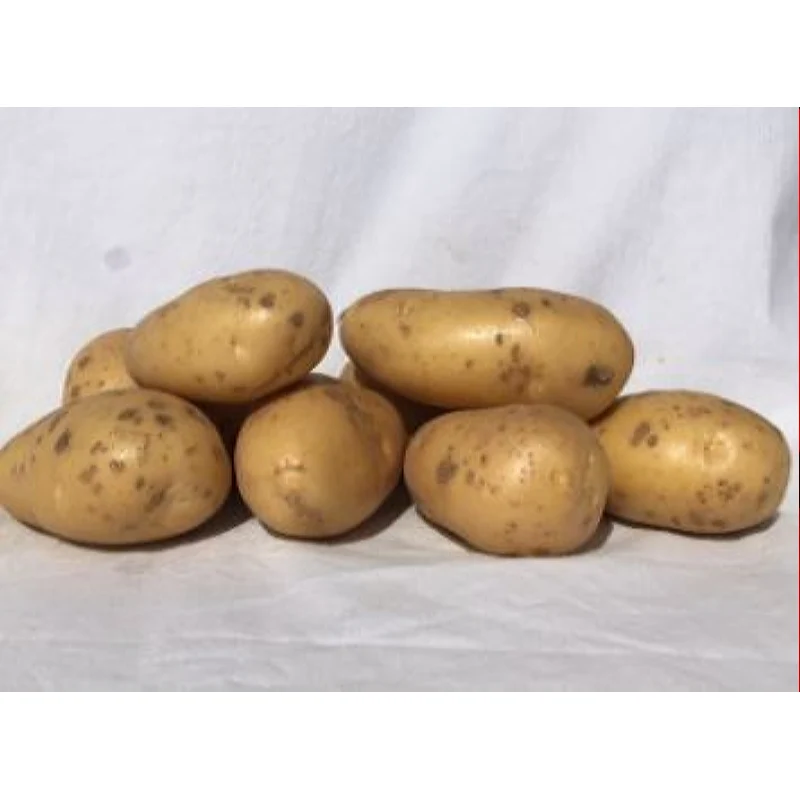 Berber 1kg