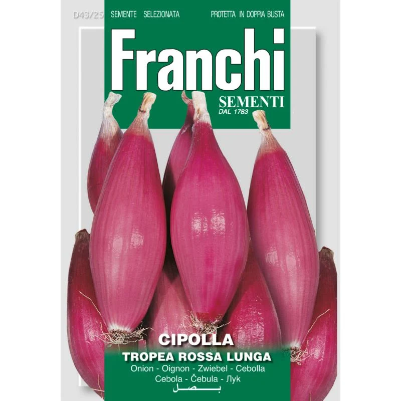 Fr Ui, Cipolla Tropea 43/25