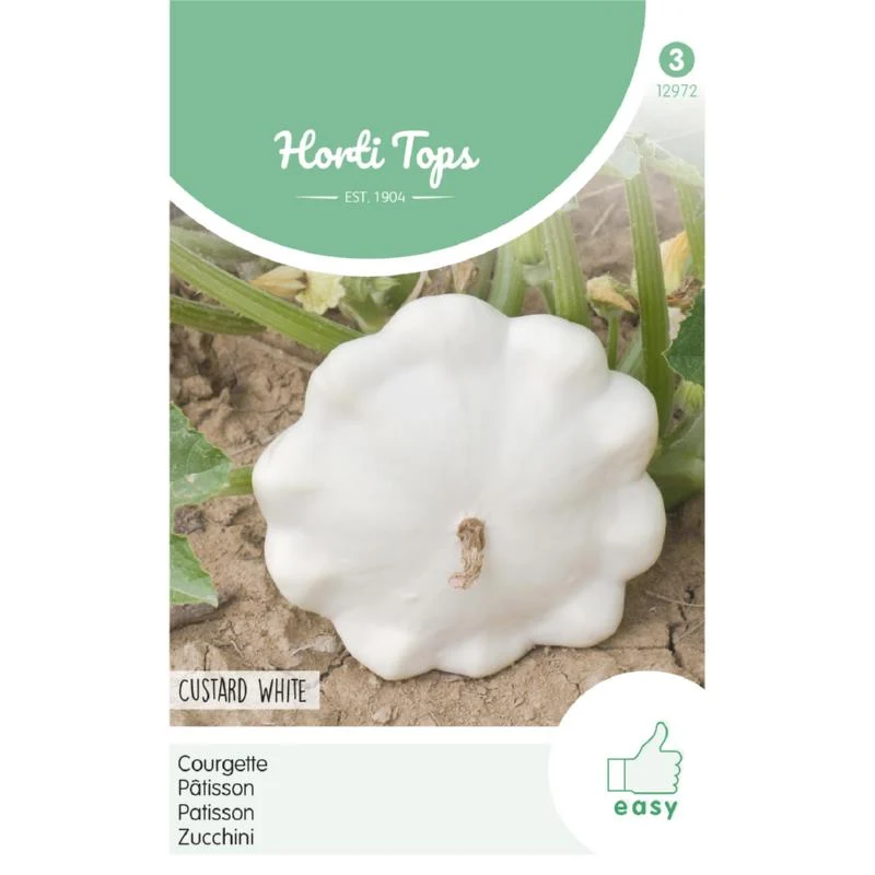 HT Courgette Custard White