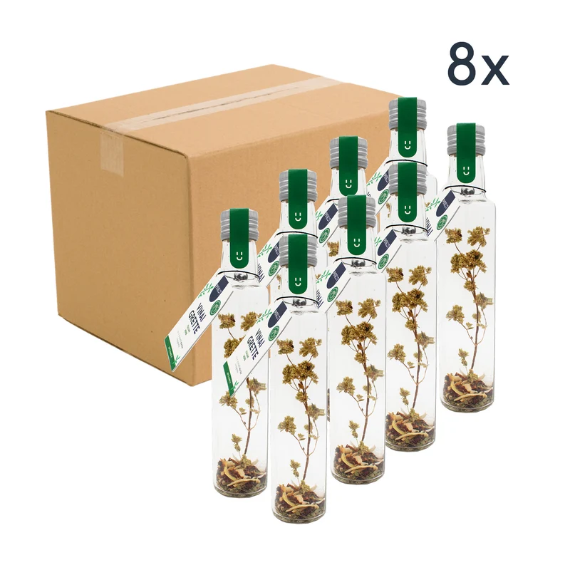 Vinaigrette | fles | Italiaanse kruiden | Doos met 8 stuks