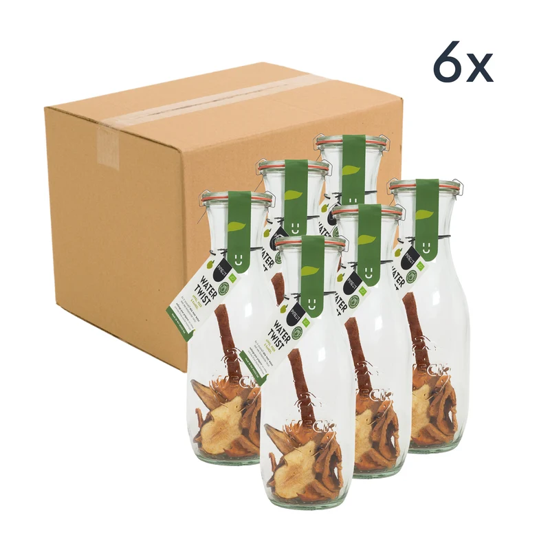 Watertwist | karaf | Appel, Peer & Kaneel BIO | Doos met 6 stuks
