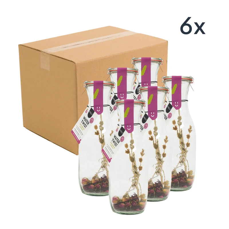 Watertwist | Karaf | Roos, Bergthee & Hibiscus | Doos met 6 stuks