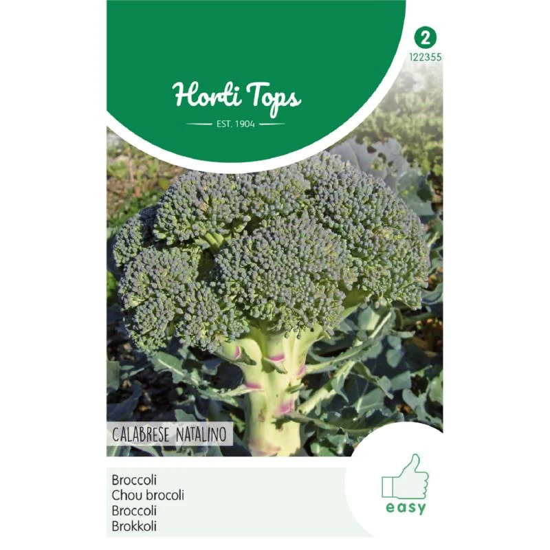 HT Broccoli Calabria Natalino
