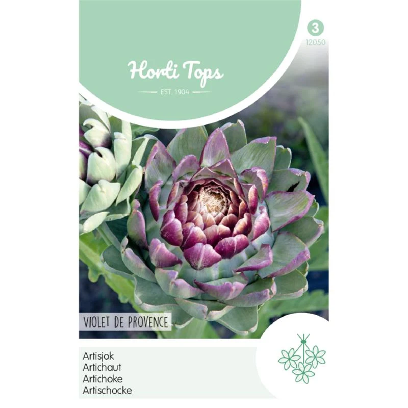 HT Artisjok Violet De Provence