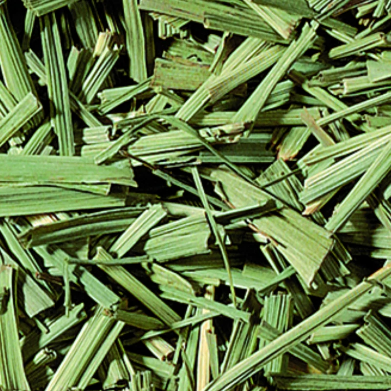 Citroengras - Kruidenthee - Thailand - 100 gram