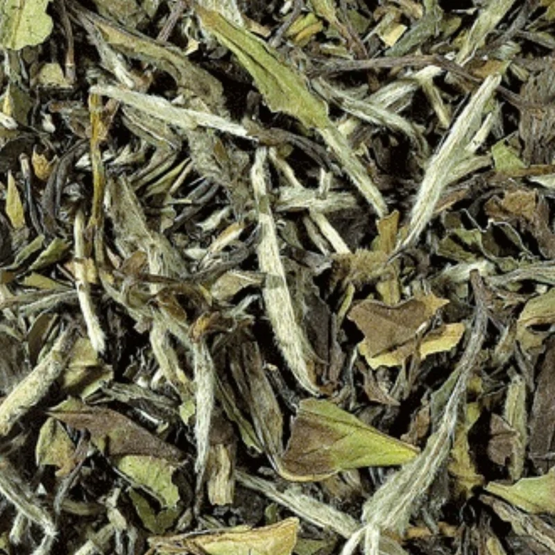 Pai Mu Tan - Witte Thee - China - 100 gram