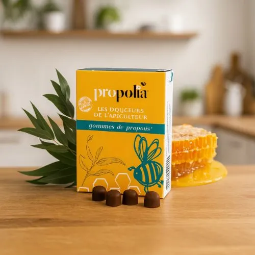 Propolis Pastilles eucalyptus – GOMMES DE PROPOLIS® 45g