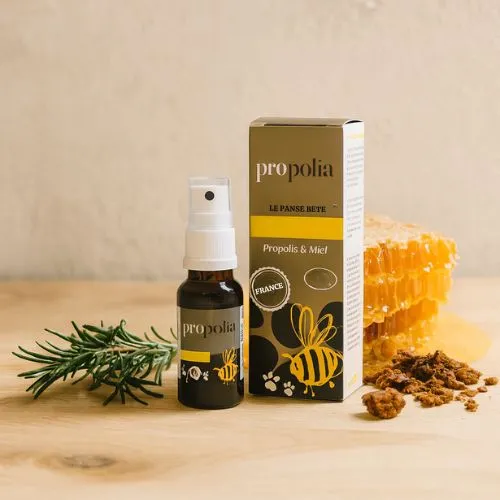 Propolis Reinigende Spray voor Honden en Katten | Propolia Dierverzorging