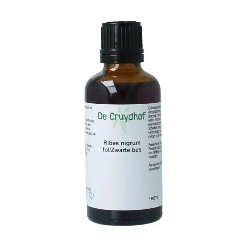 Cruydhof Ribus nigrum & zwarte bes