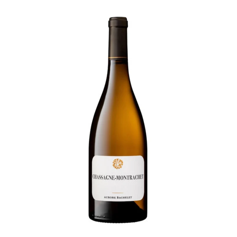 Aurore Bachelet | Chassange Montrachet 2023