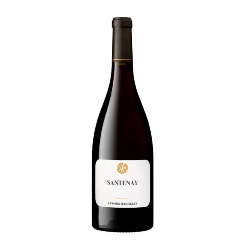 Aurore Bachelet | Santenay rouge 2022