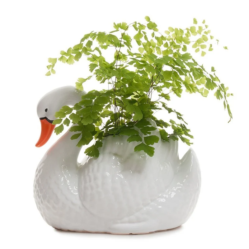 White Swan Planter