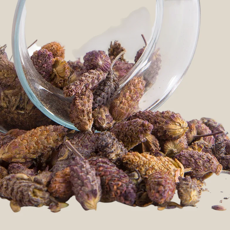 Franse Lavendel - Karabas Otu 35 g