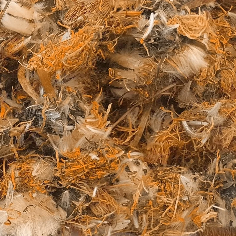 Paardenbloem Bloesem - Kruidenthee - 100 gram