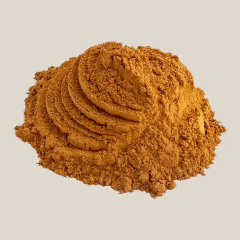 Kaneel Poeder (Cassia)