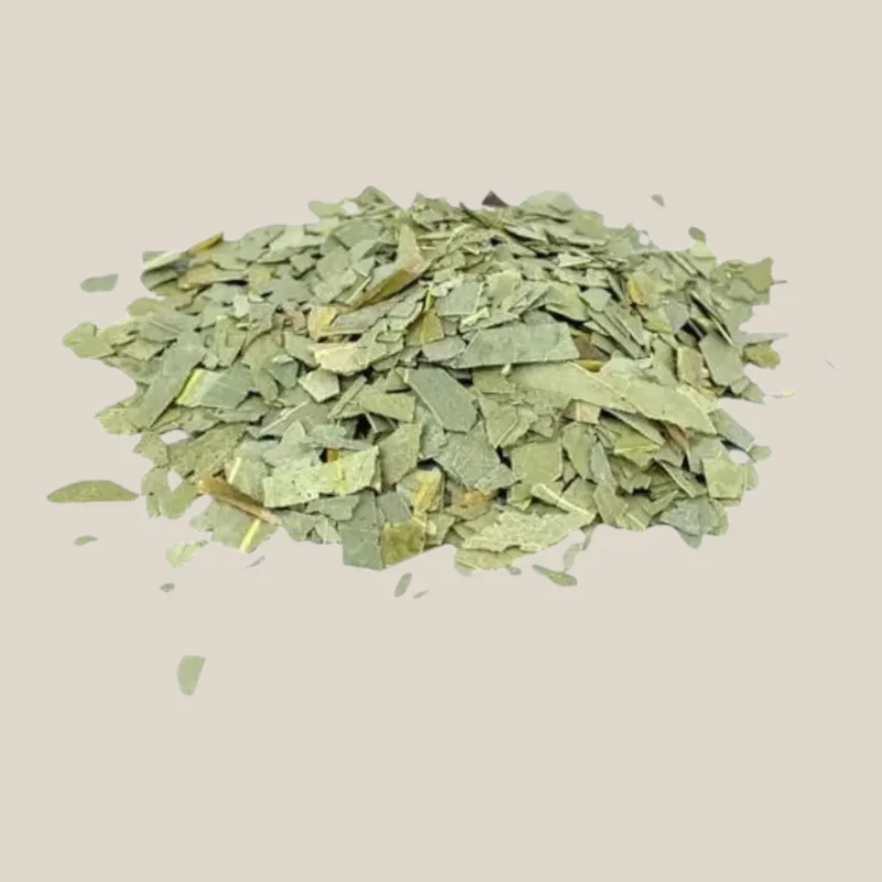 Eucalyptusblad - Eucalyptus Thee