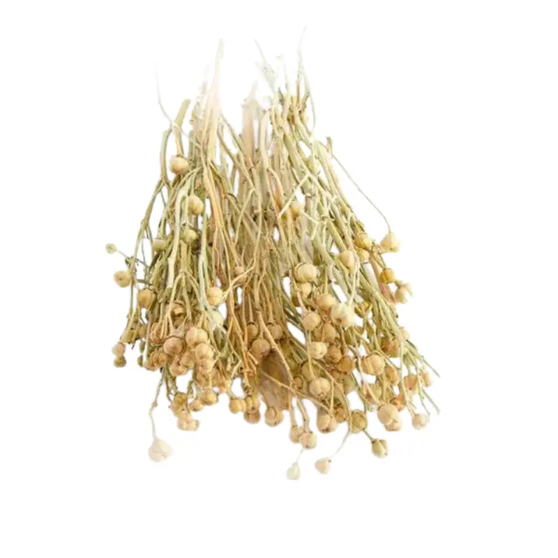 Üzerlik Otu - Syrische wijnruit - 50 g