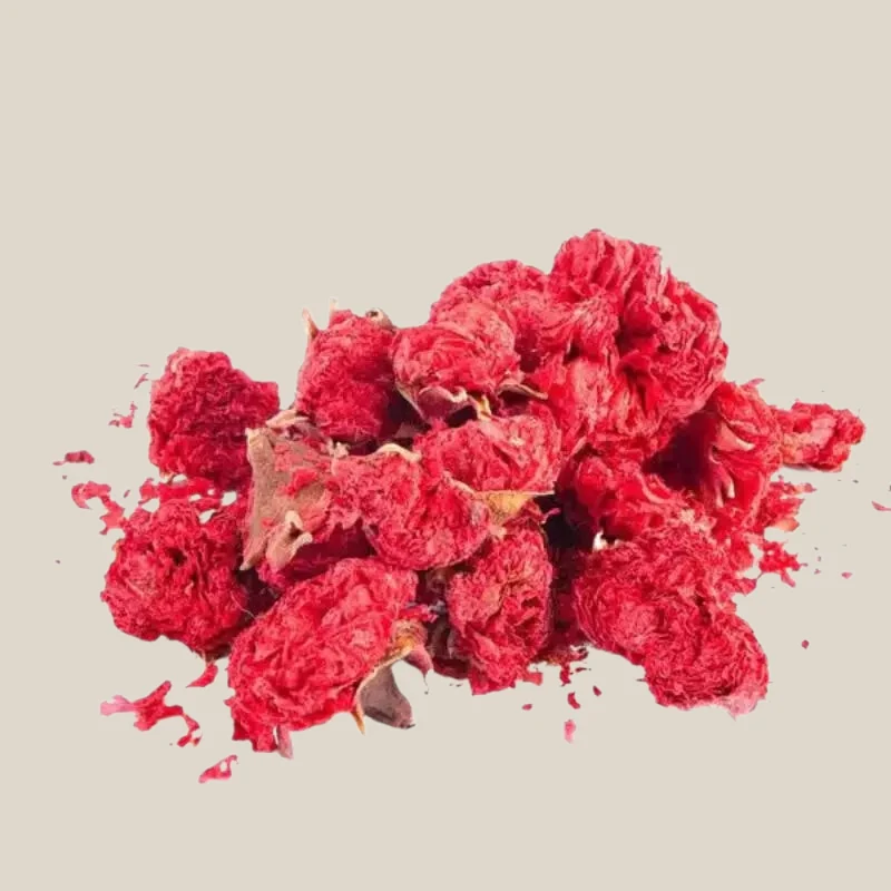 Granaatappel Bloem