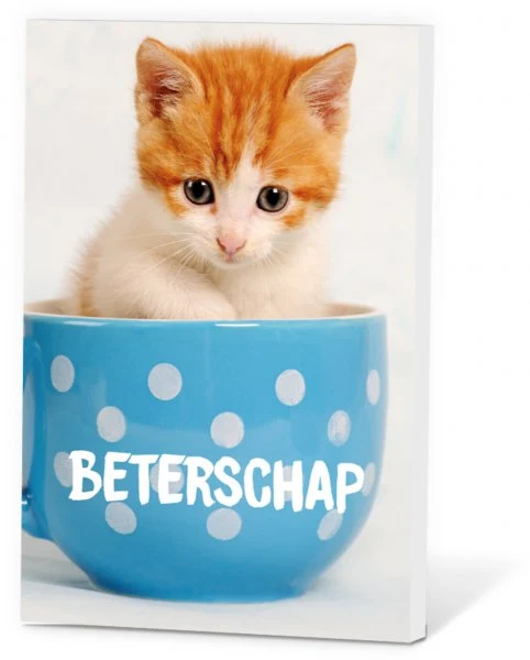 Thee in een Kaartje - Beterschap