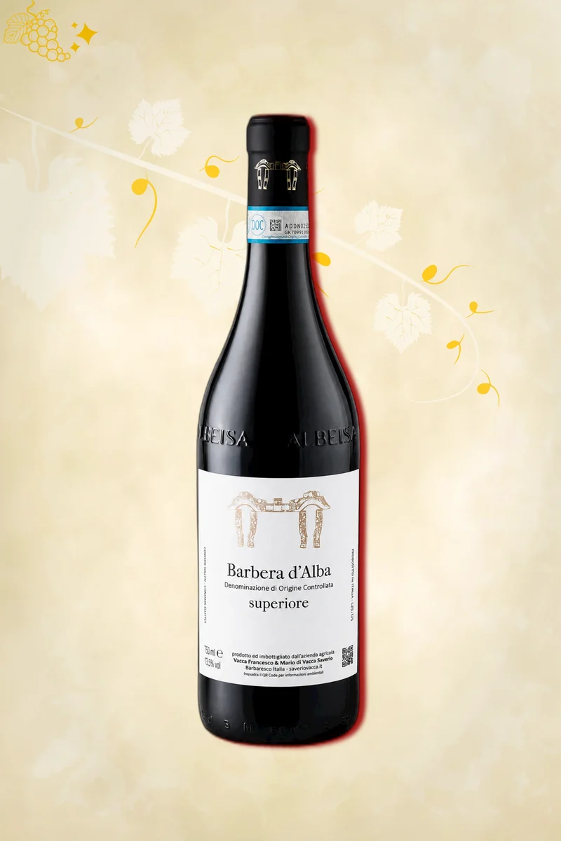 Saverio Vacca Barbera d'Alba Superiore (2021)