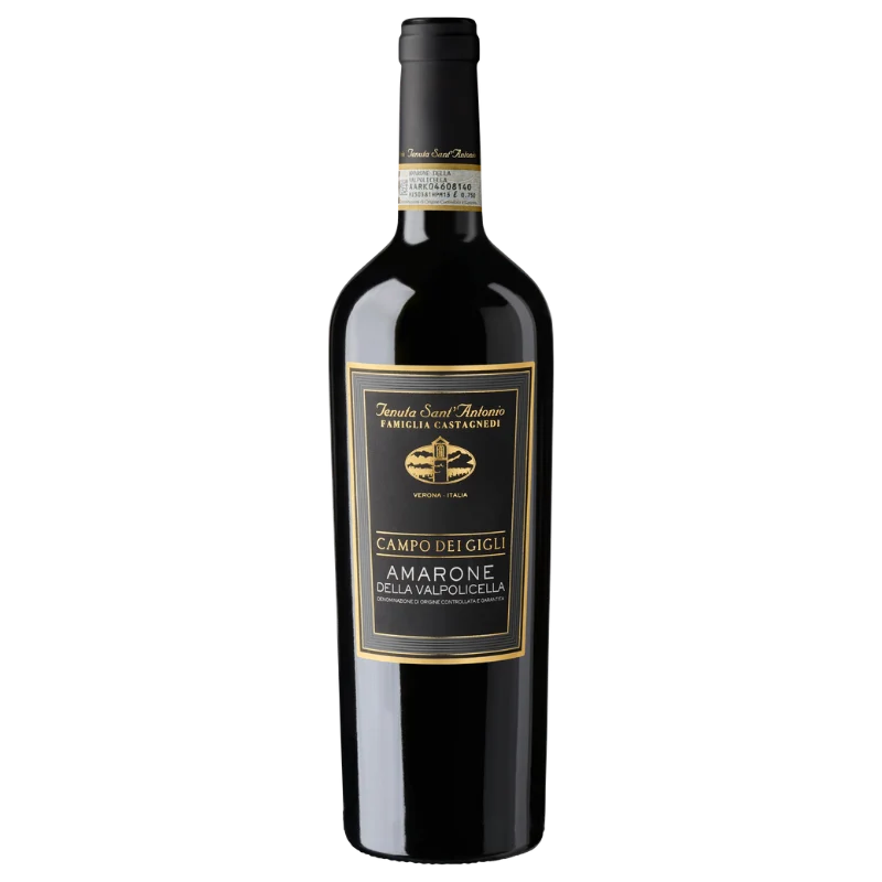 Amarone Campo dei Gigli - Tenuta Sant'Antonio