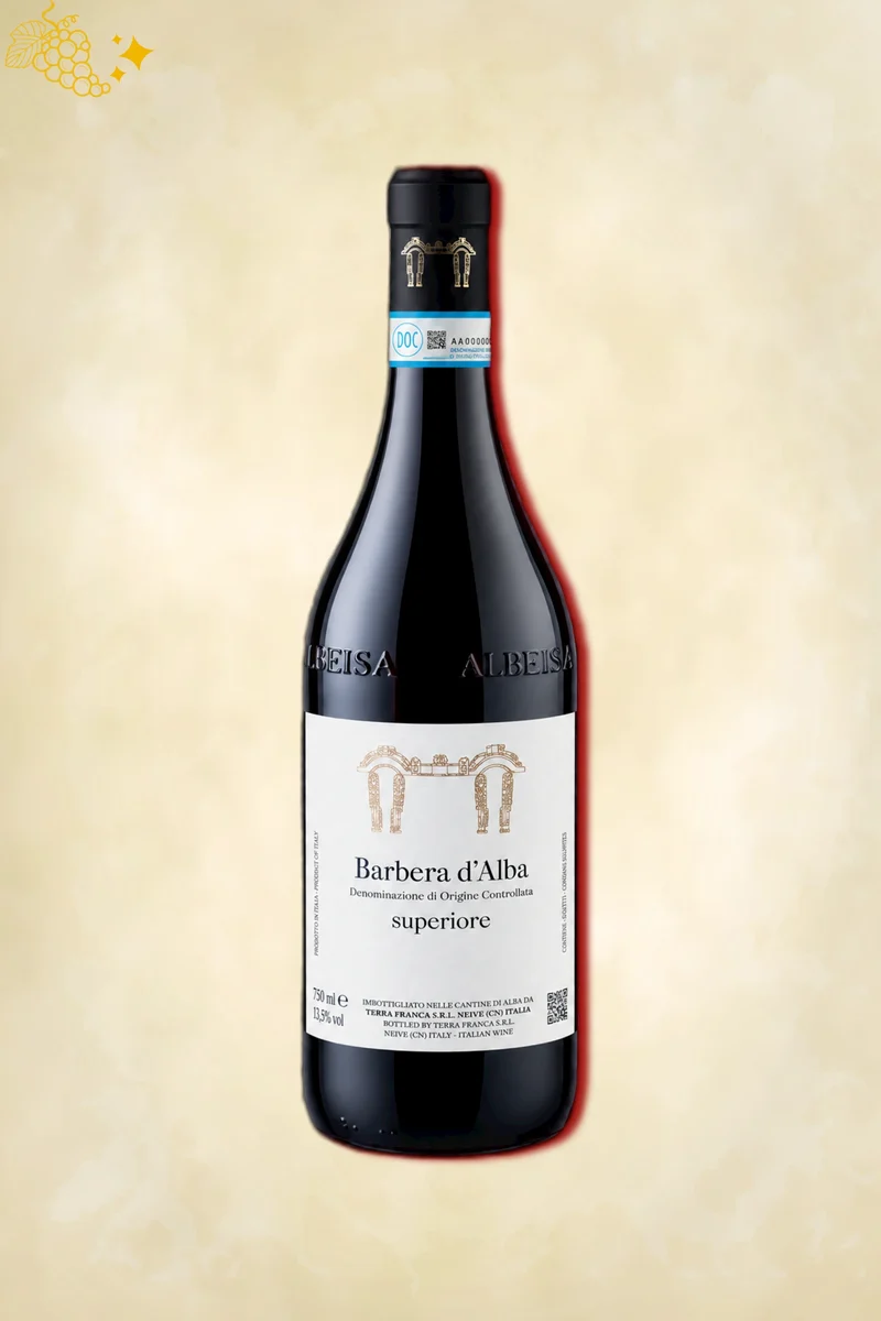 Saverio Vacca - Barbera d'Alba Superiore (2022)