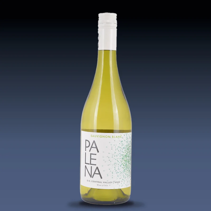 Palena Sauvignon Blanc Rappel Valley