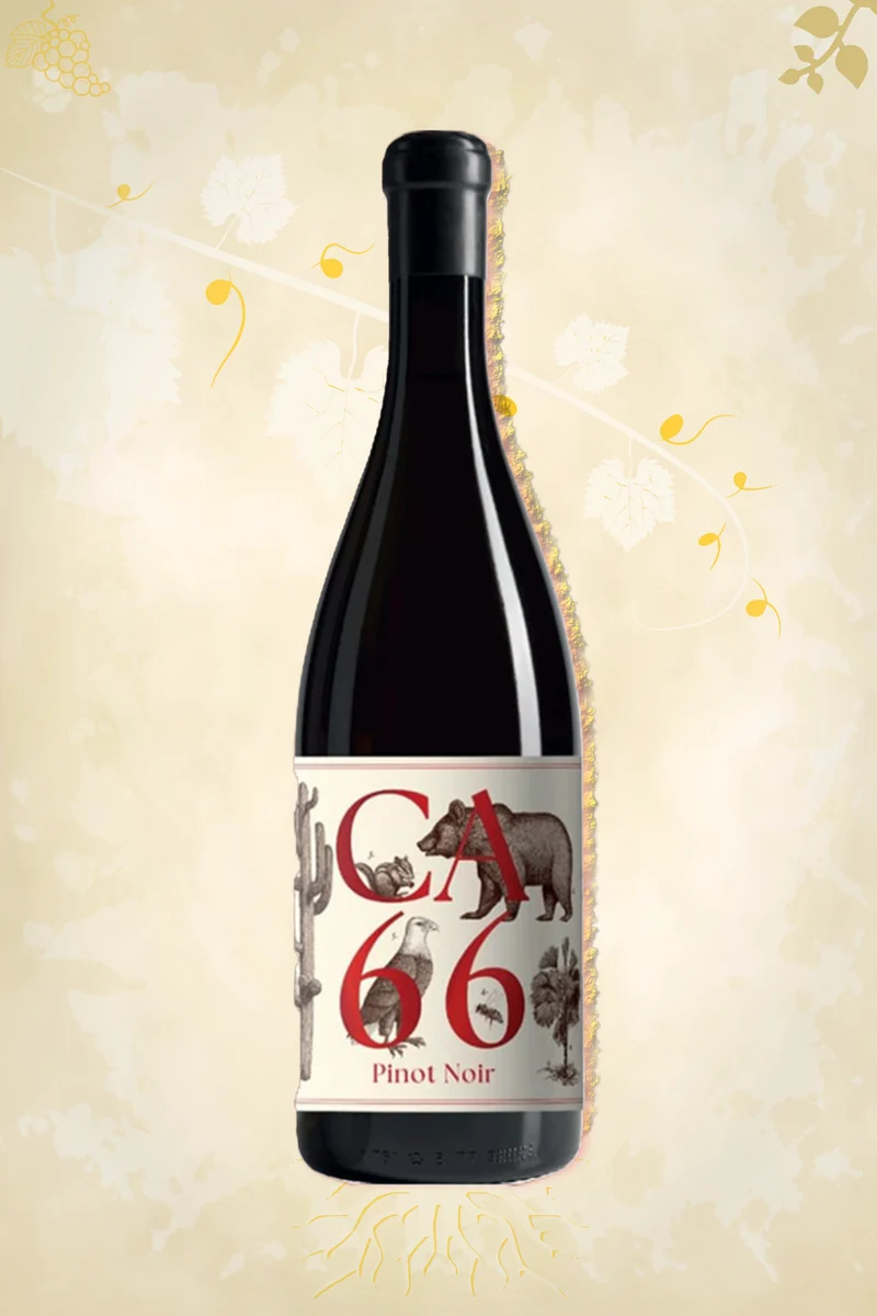 Weingut Hannes Sabathi - CA 66 Pinot Noir (2023)