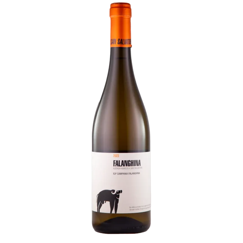 Falanghina IGP Campania 2023