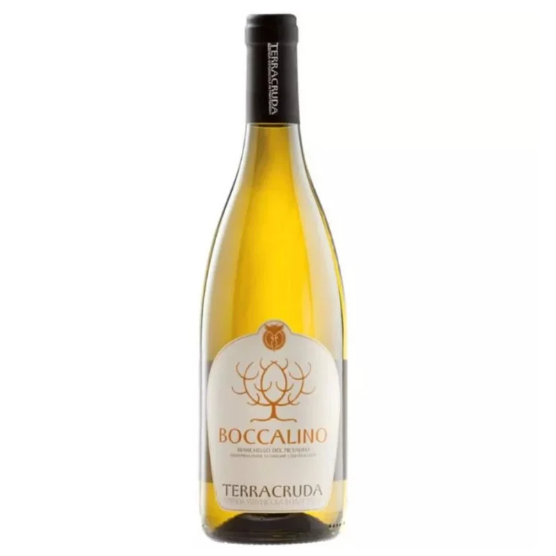 Cantina Terracruda Boccalino Bianchello