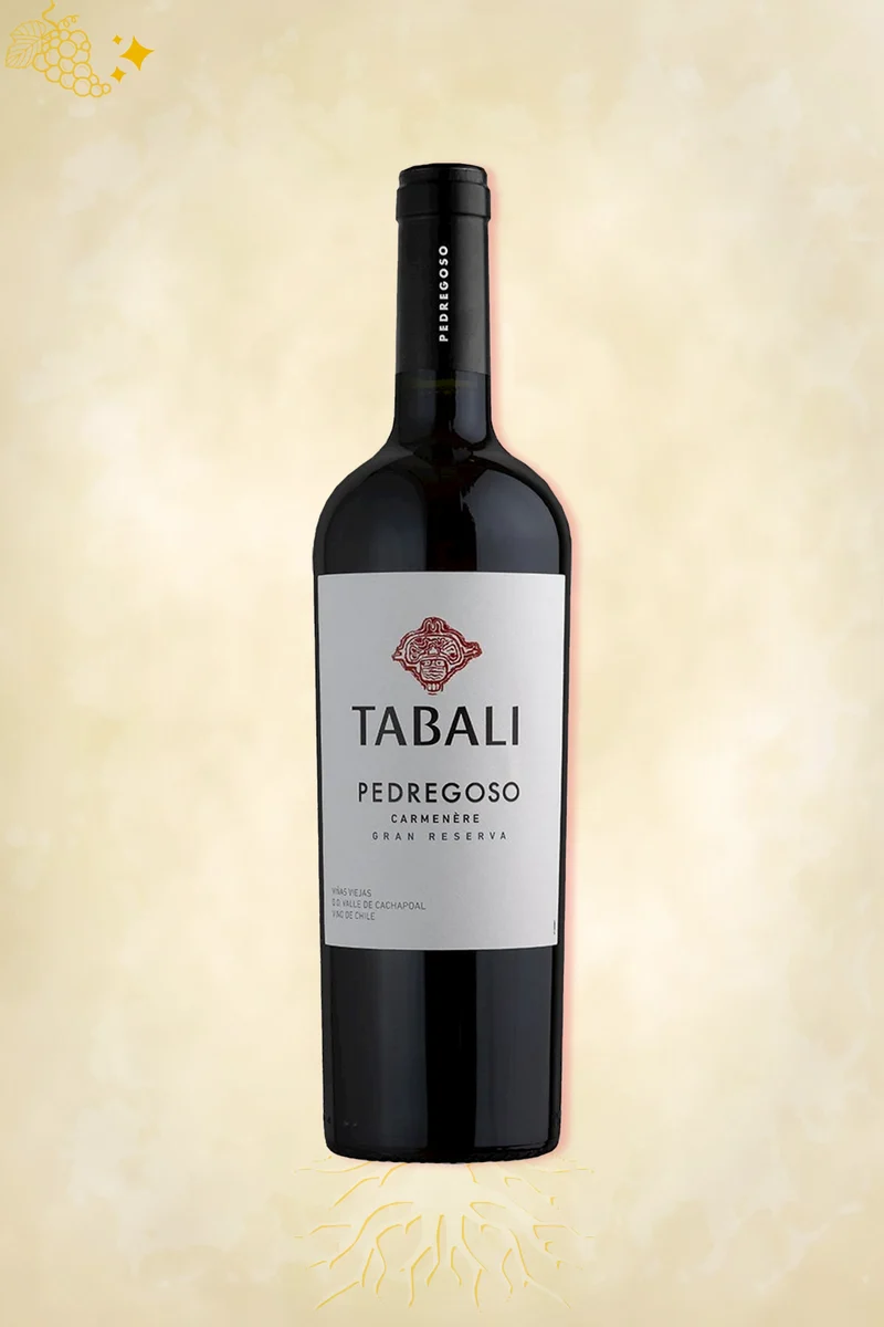 Tabalí - Pedregoso Gran Reserva Carmenère (2023)
