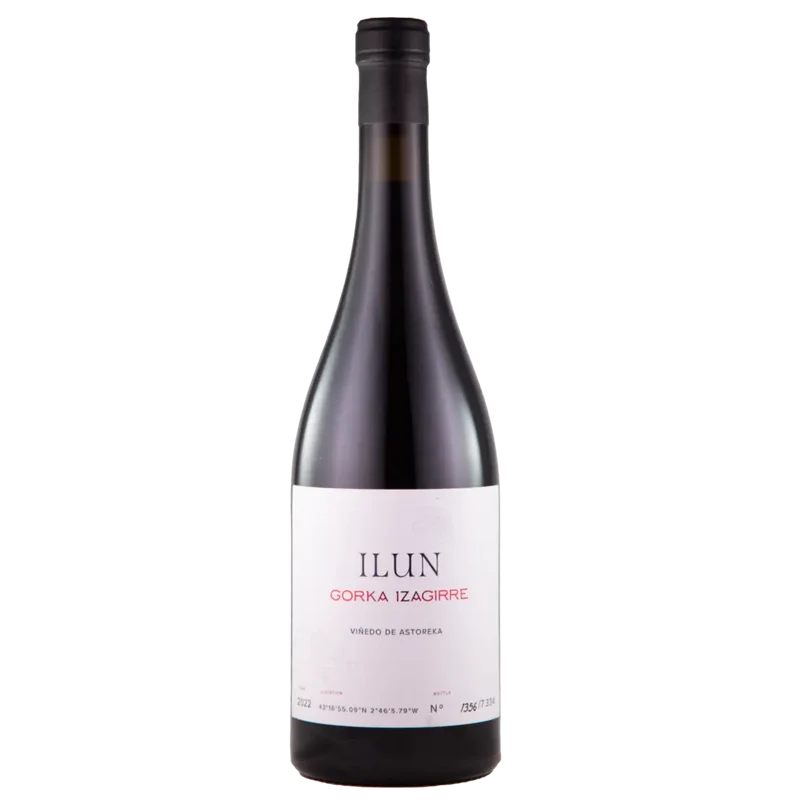 Txakoli Tinto Ilun 2024