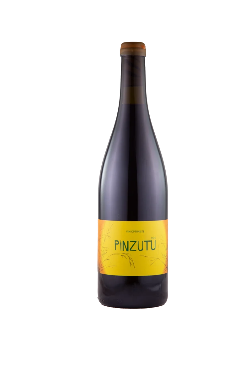 Pinzutu 2024