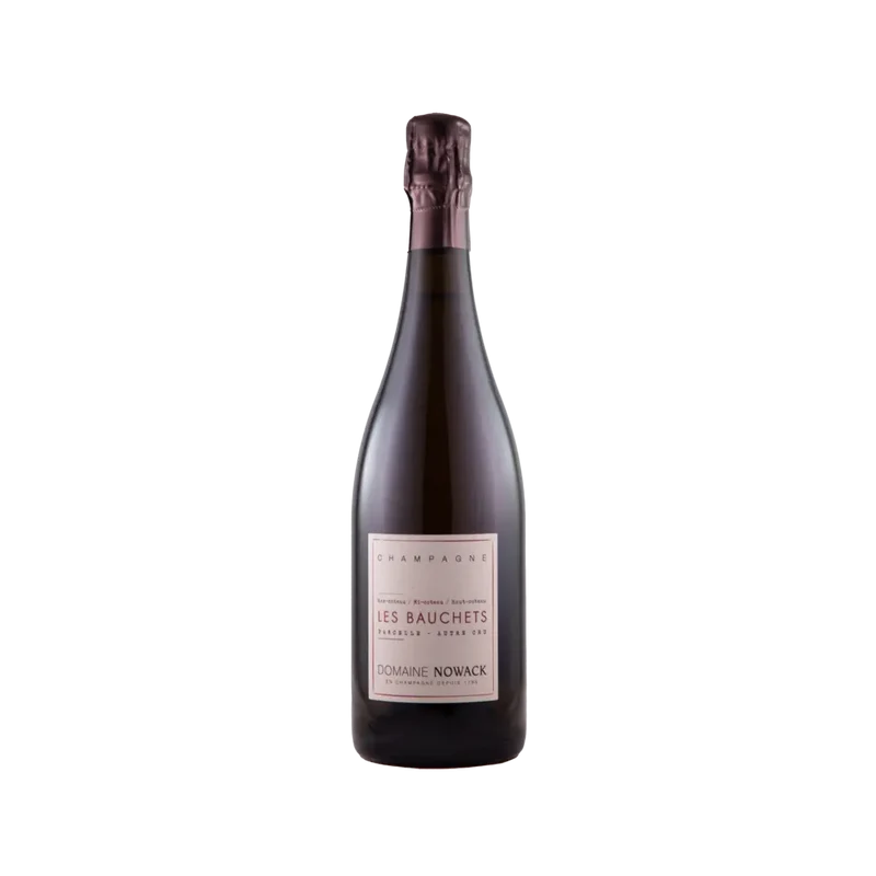 Champagne Bauchets 2020
