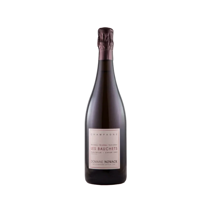 Champagne Terres Bleues 2022