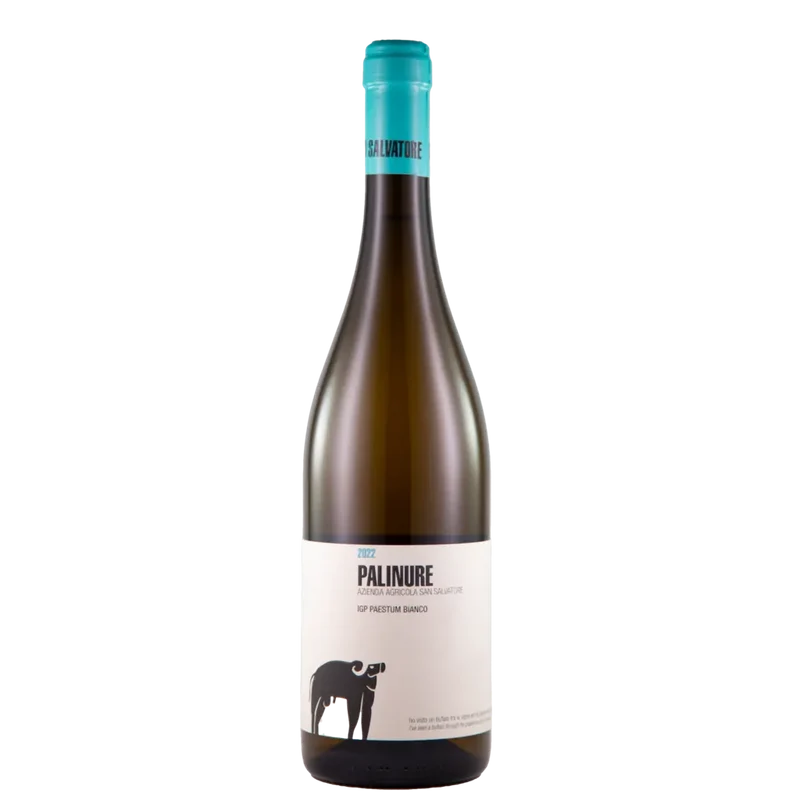Palinure IGP Paestum Bianco 2024