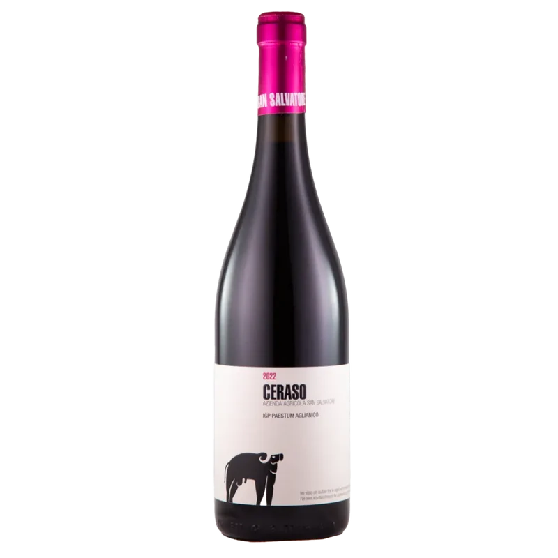 Ceraso IGP Aglianico Paestum 2023