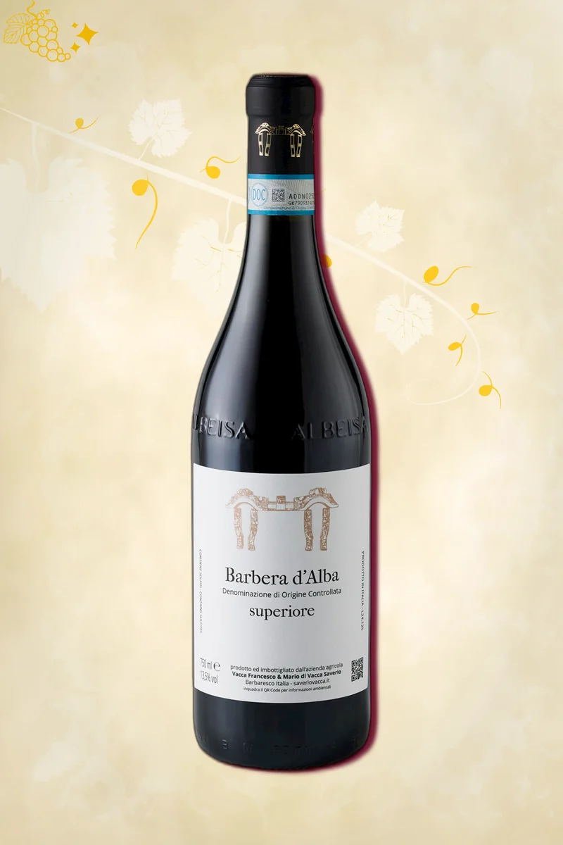 Saverio Vacca - Barbera d'Alba Superiore 2021 (Magnum)