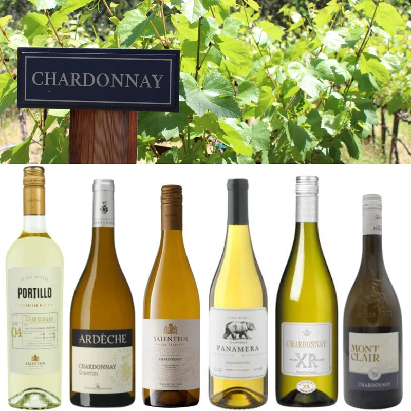 Chardonnay Wijnproefpakket