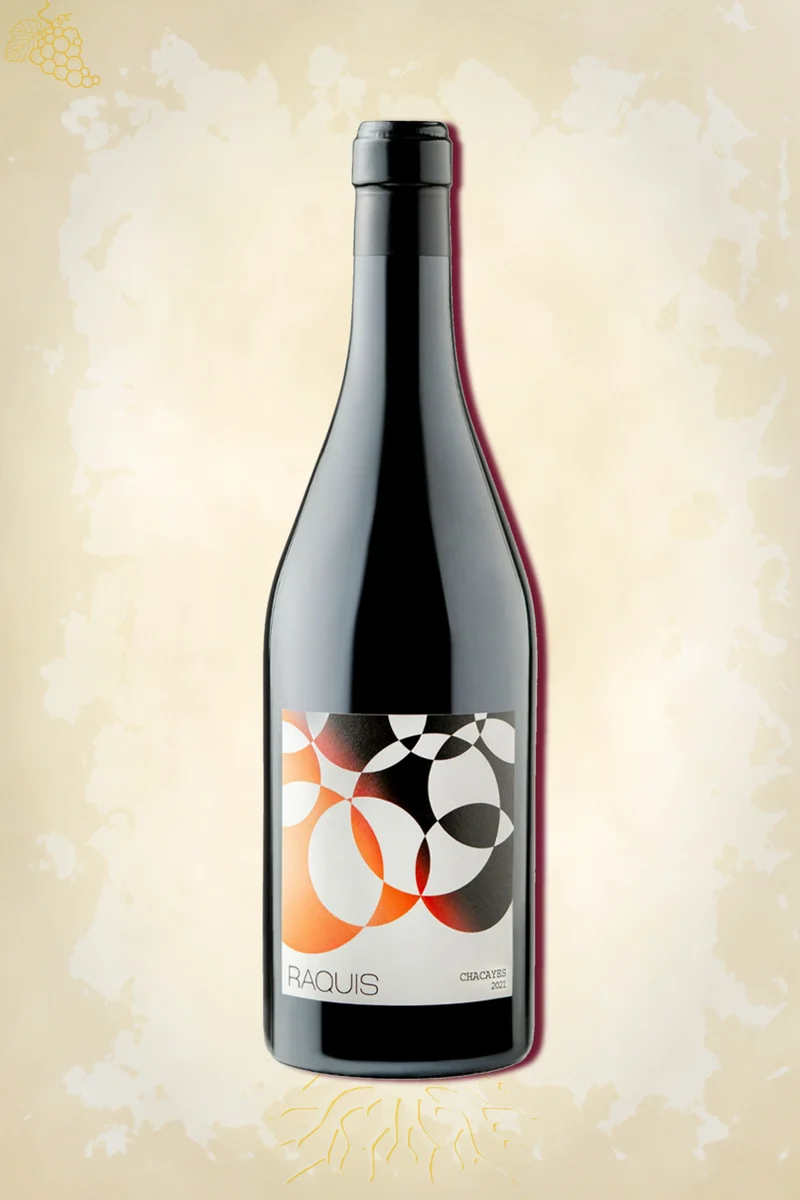 Raquis - Los Parajes Chacayes Malbec (2022)