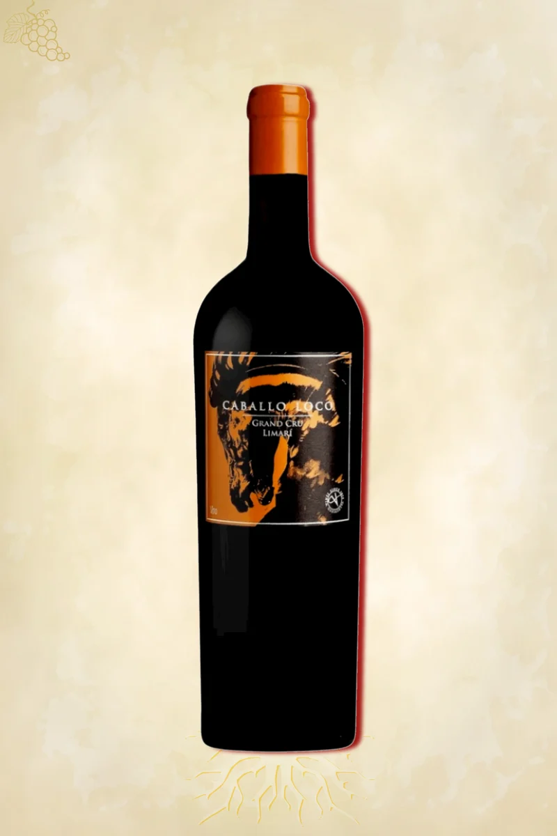 Caballo Loco - Grand Cru Limarí (2023)