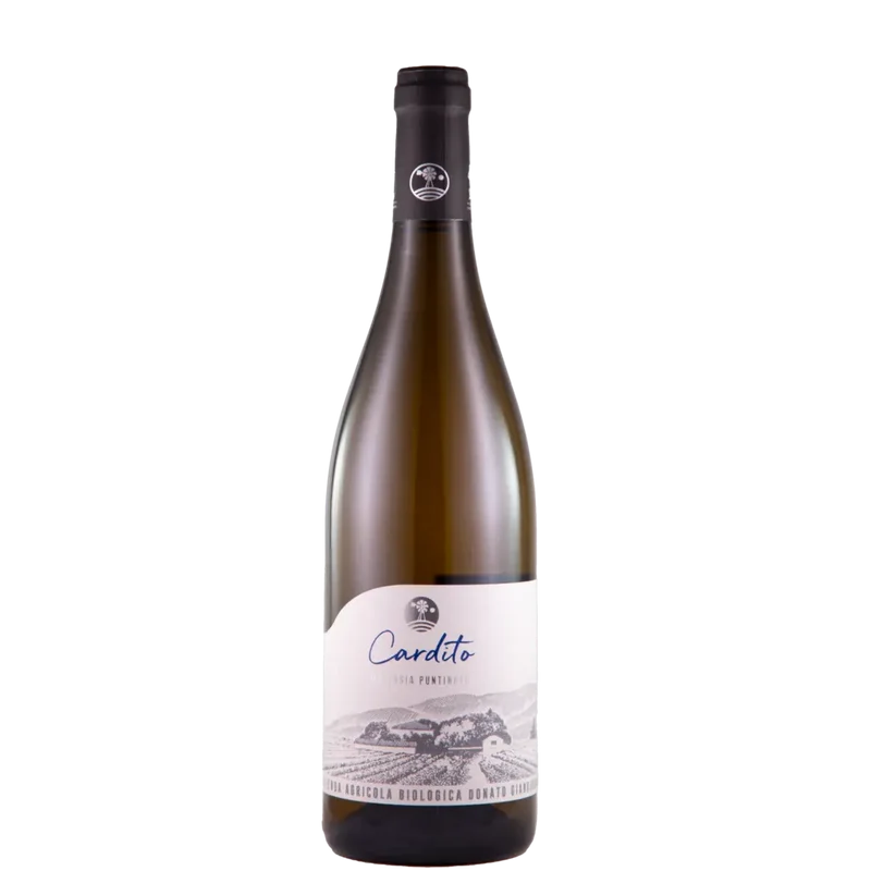 Malvasia ‘Cardito’ 2024