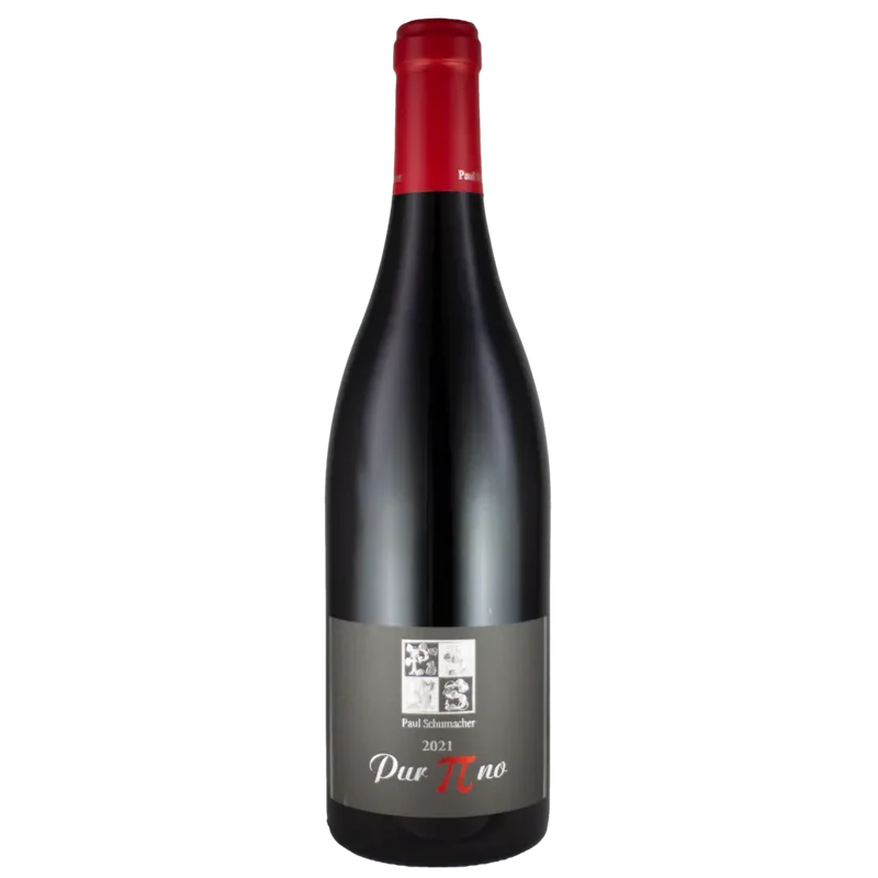 Spätburgunder 'Pur Pinot' 2021