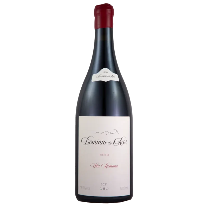 Tinto 2021