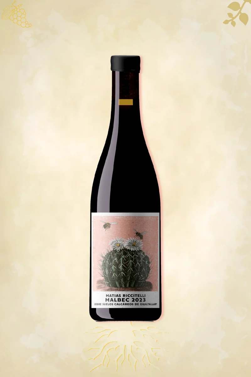 Matías Riccitelli - Gualtallary Cabernet Franc (2022)