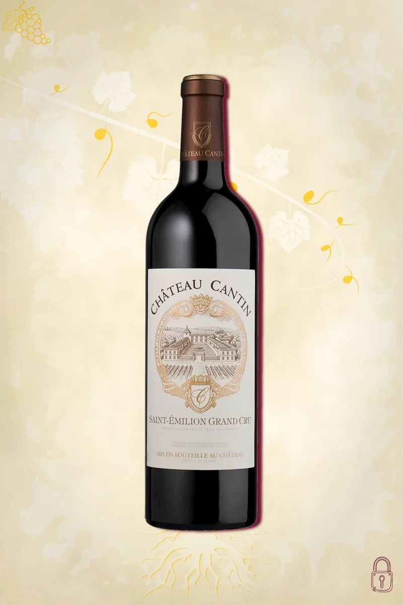 Château Cantin - Saint-Émilion Grand Cru Classé (2019)