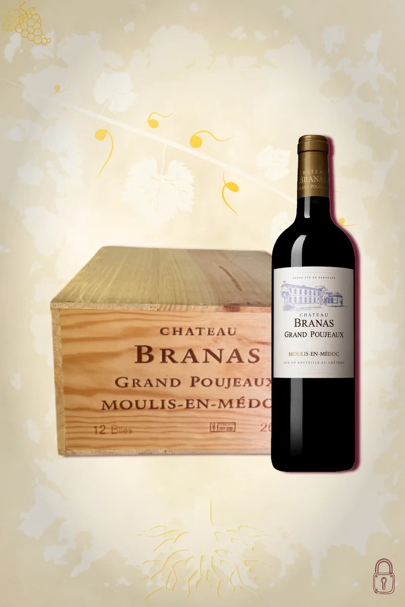 Château Branas Grand Poujeaux - Moulis-en-Médoc (2022) - OWC (12x75cl)