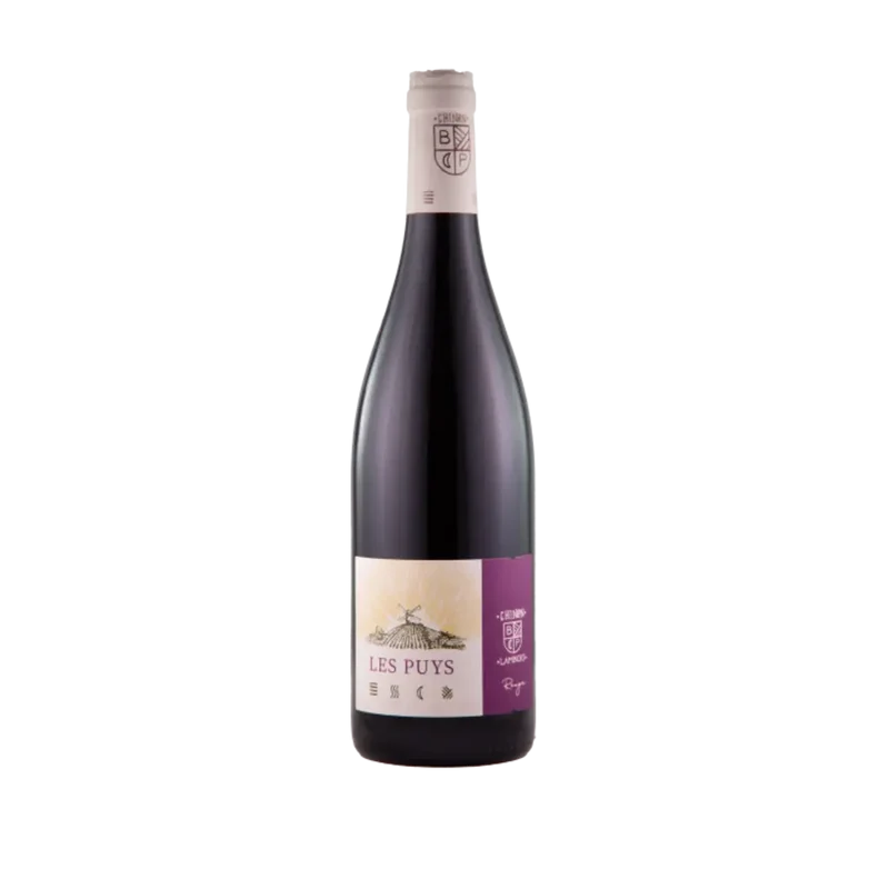Chinon rouge 'les Puys' Danae 2019