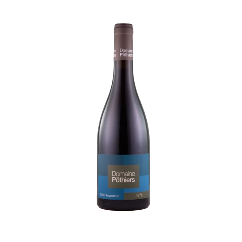 Côte Roannaise 'Cuvée No 6' 2021